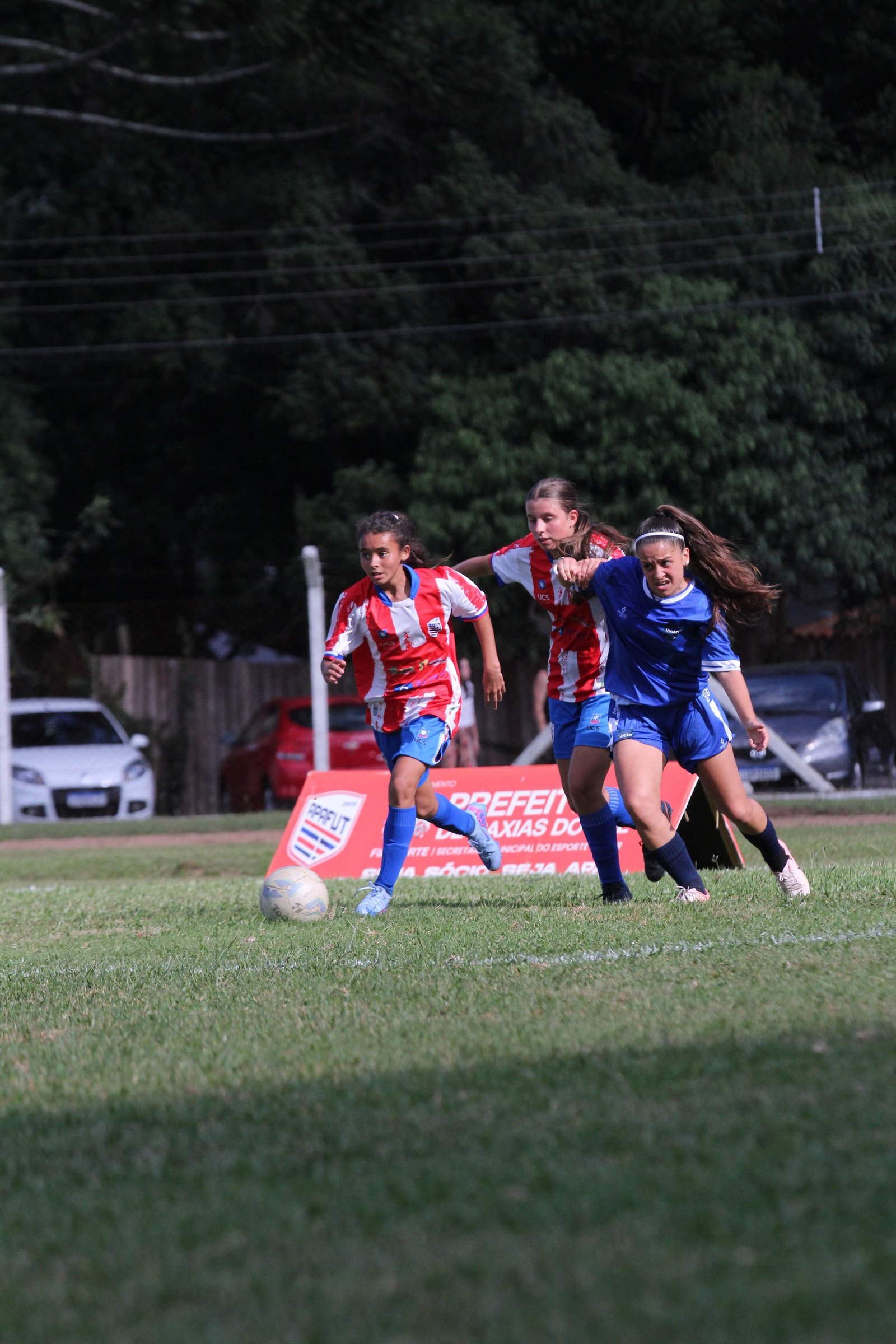 GURIAS DA APA EM CAMPO